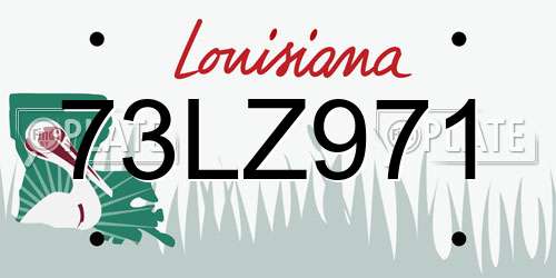 73LZ971 Louisiana License Plate