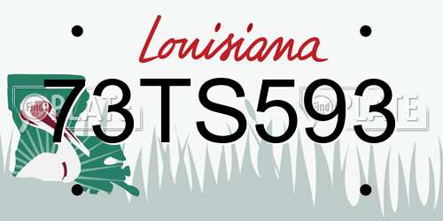 73TS593 Louisiana License Plate