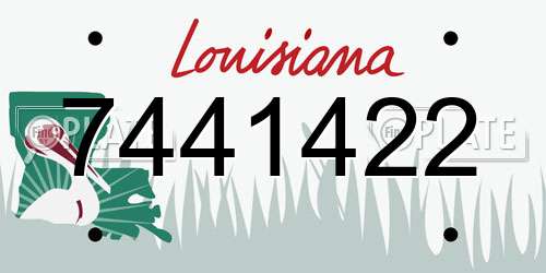 7441422 Louisiana License Plate