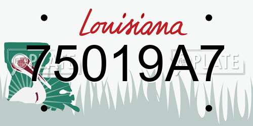 75019A7 Louisiana License Plate