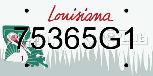 75365G1 Louisiana License Plate
