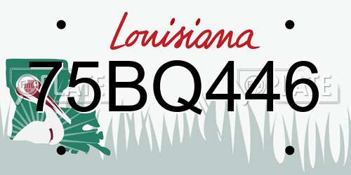 75BQ446 Louisiana License Plate