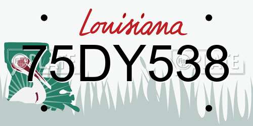 75DY538 Louisiana License Plate