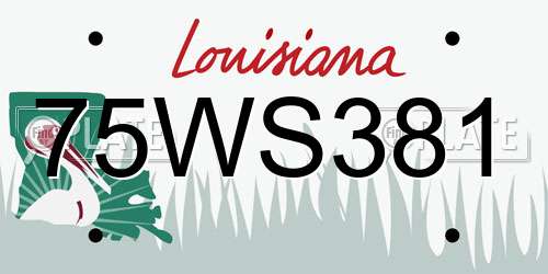 75WS381 Louisiana License Plate