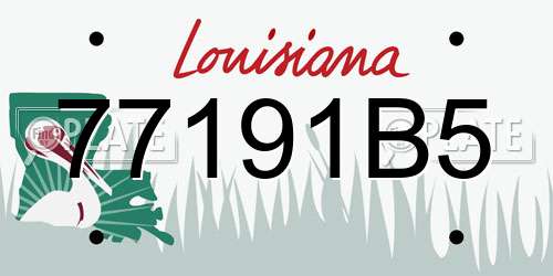 77191B5 Louisiana License Plate