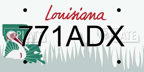 771ADX Louisiana License Plate