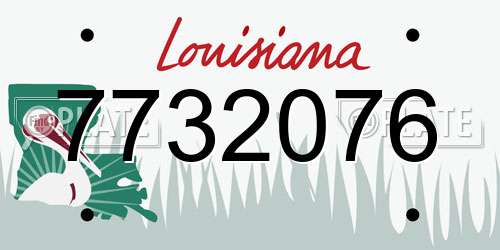 7732076 Louisiana License Plate