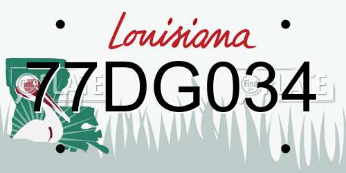 77DG034 Louisiana License Plate
