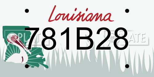 781B28 Louisiana License Plate