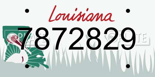7872829 Louisiana License Plate