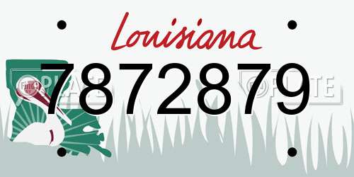 7872879 Louisiana License Plate