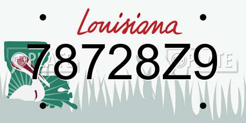 78728Z9 Louisiana License Plate