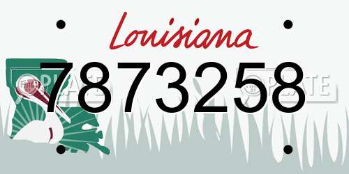 7873258 Louisiana License Plate