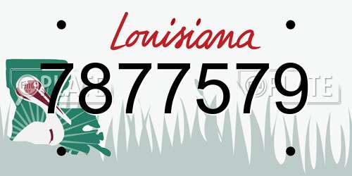 7877579 Louisiana License Plate