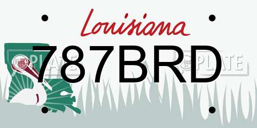 787BRD Louisiana License Plate