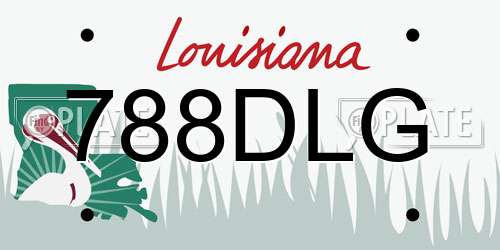 788DLG Louisiana License Plate