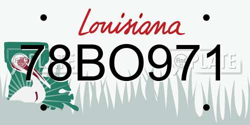 78BO971 Louisiana License Plate