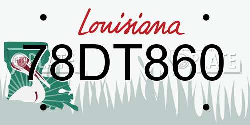 78DT860 Louisiana License Plate