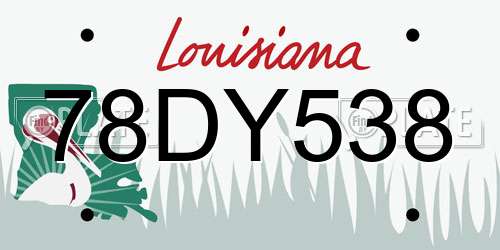 78DY538 Louisiana License Plate