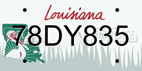78DY835 Louisiana License Plate