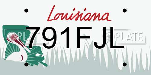 791FJL Louisiana License Plate