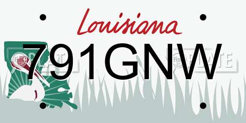 791GNW Louisiana License Plate