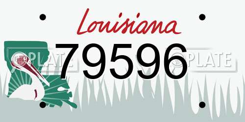 79596 Louisiana License Plate