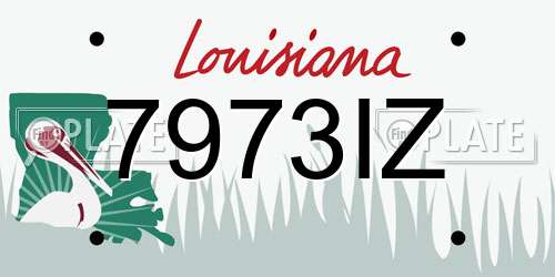 7973IZ Louisiana License Plate