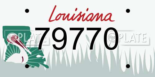 79770 Louisiana License Plate