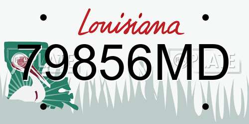 79856MD Louisiana License Plate