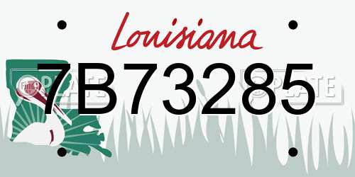 7B73285 Louisiana License Plate