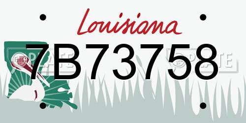 7B73758 Louisiana License Plate
