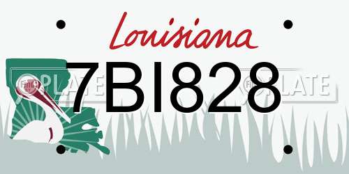 7BI828 Louisiana License Plate