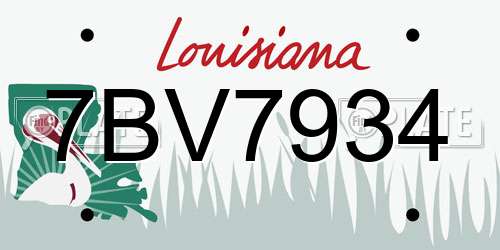 7BV7934 Louisiana License Plate