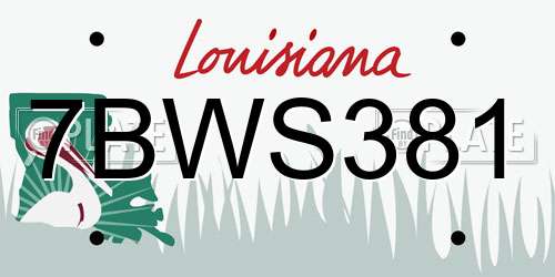 7BWS381 Louisiana License Plate