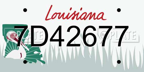 7D42677 Louisiana License Plate