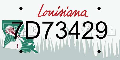 7D73429 Louisiana License Plate