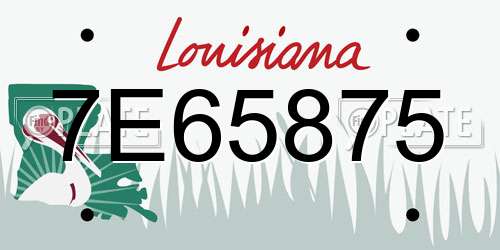7E65875 Louisiana License Plate