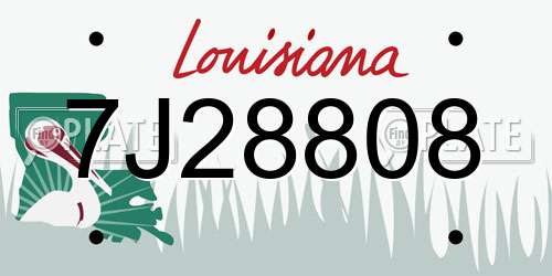 7J28808 Louisiana License Plate