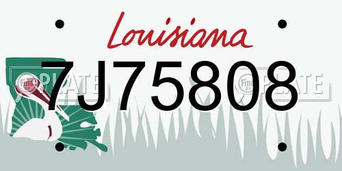 7J75808 Louisiana License Plate