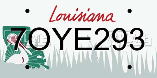 7OYE293 Louisiana License Plate