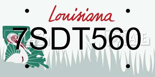 7SDT560 Louisiana License Plate
