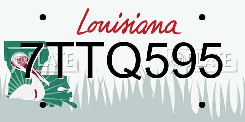7TTQ595 Louisiana License Plate