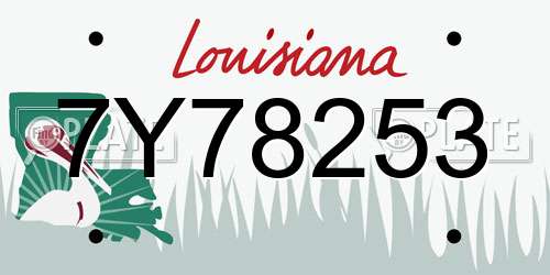 7Y78253 Louisiana License Plate