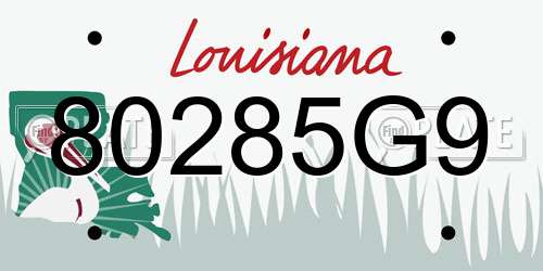 80285G9 Louisiana License Plate