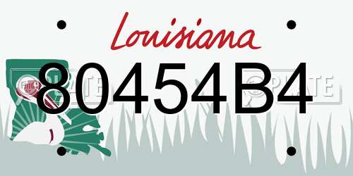 80454B4 Louisiana License Plate