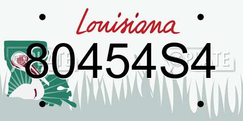 80454S4 Louisiana License Plate