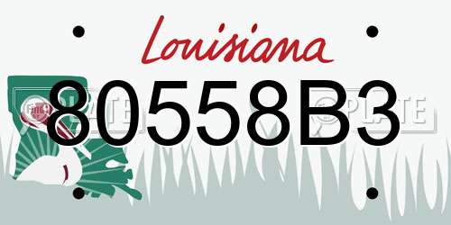 80558B3 Louisiana License Plate