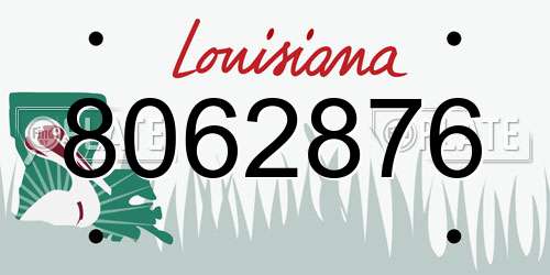 8062876 Louisiana License Plate