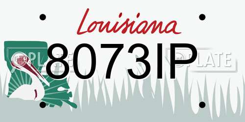 8073IP Louisiana License Plate